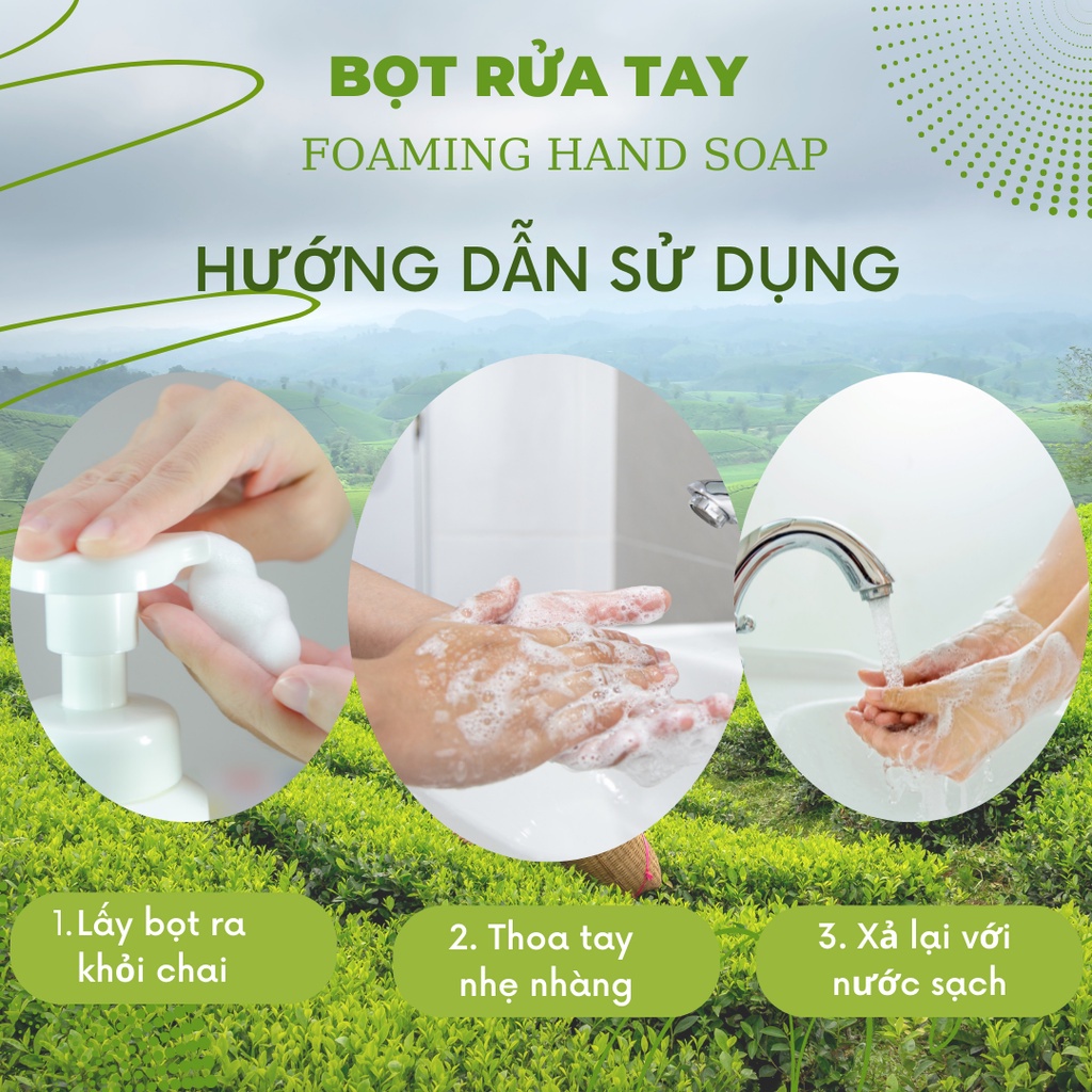 Xà phòng rửa tay tạo bọt hữu cơ chiết xuất trà xanh Alfasept Foam Handsoap 300ml