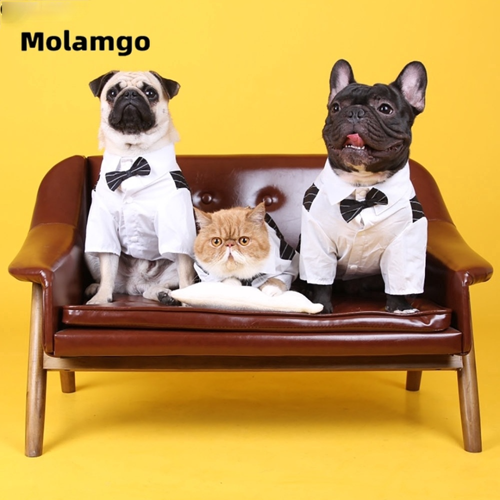 Bộ quần áo vest kiểu ngắn dành cho thú cưng