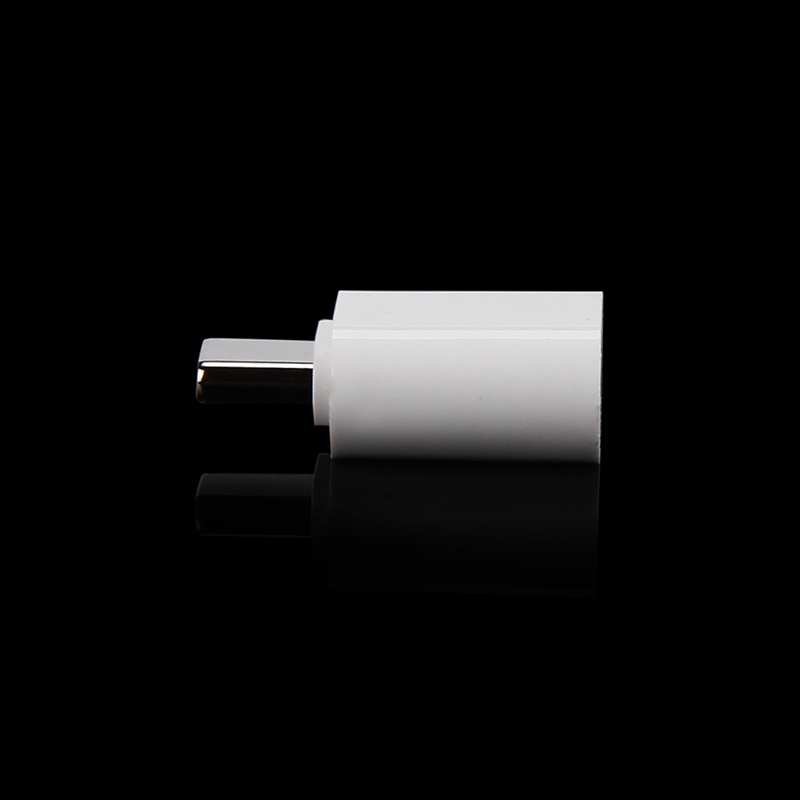 Đầu ChuyểN ĐổI OTG LoạI C 3.1 ĐầU CắM Sang Lỗ CắM USB Cho Pro (2016)