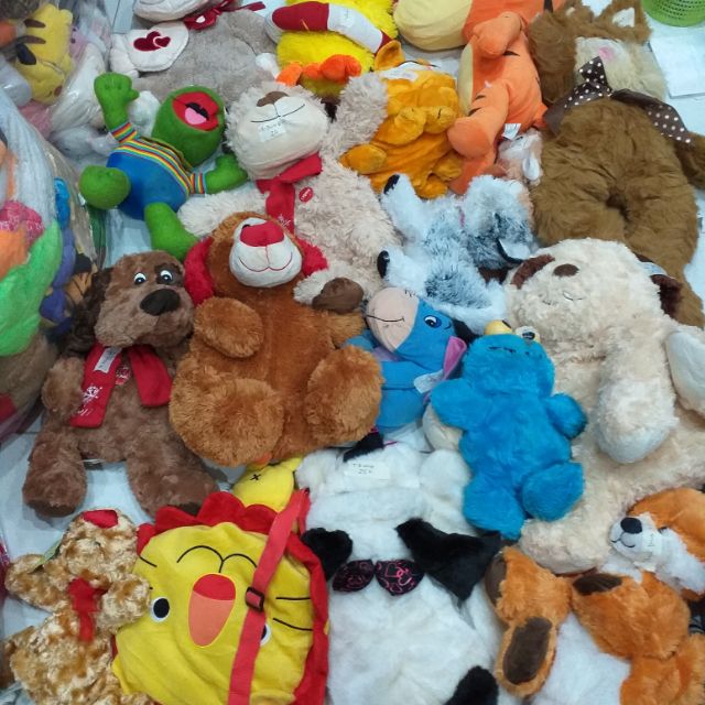 Thiều Dung