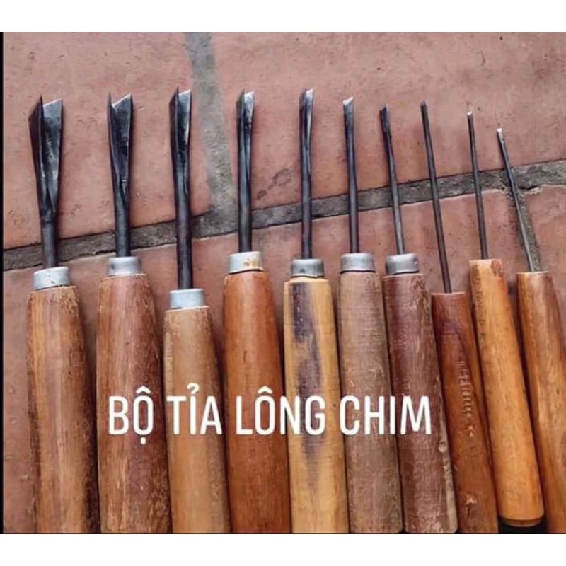 Bộ 10 cây đục tỉa tách đục chữ v điêu khắc gỗ tỉa lồng chim bonsai sáo diều