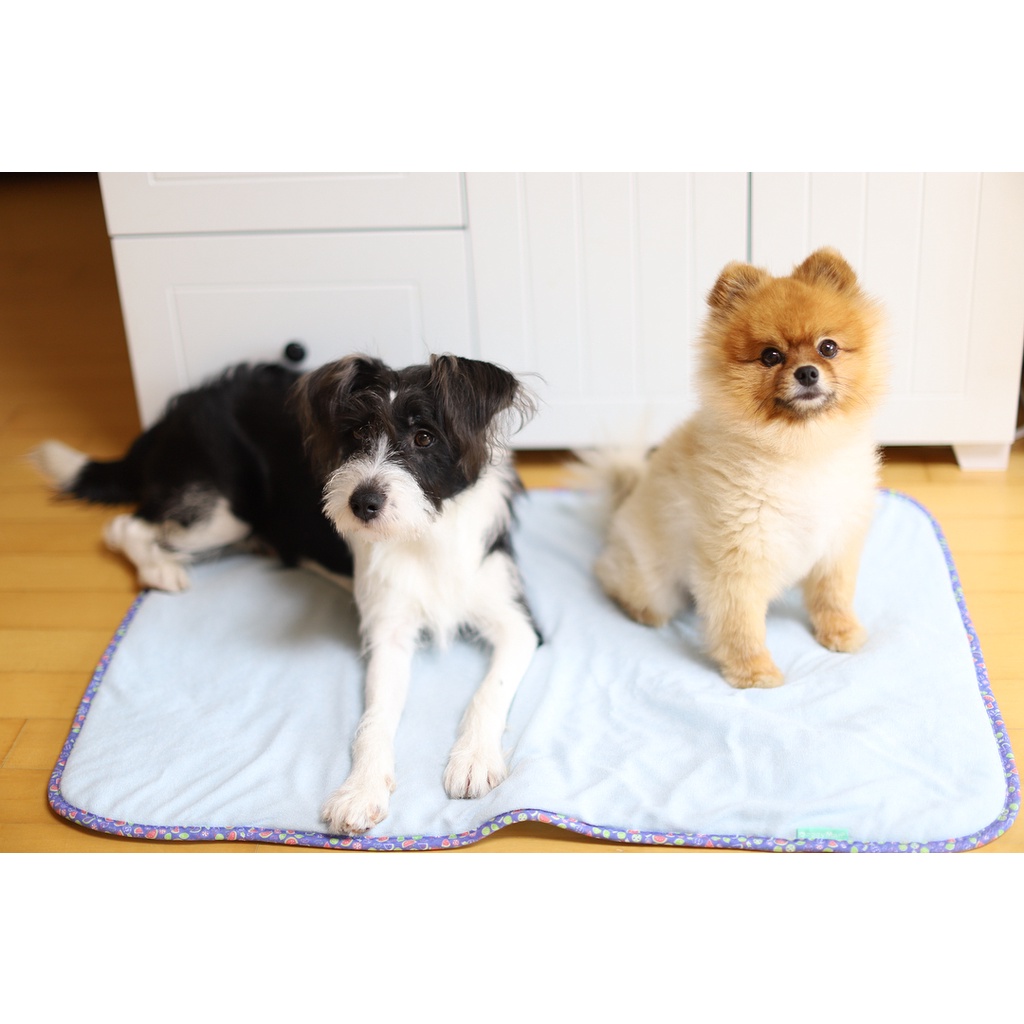 Thảm thú cưng mùa hè - DoggyMan