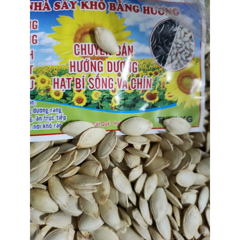 1.5 Kg Hạt bí to rang muối hạt mẩy nhiều thịt