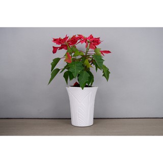 Bộ 4 Chậu Nhựa Trồng Cây Giả Sứ Hoa Văn Chiếc Lá (30x40x20cm) Bền Chắc, Rất Đẹp, Trang Nhã, Trồng Hoa Kiểng, Cây Ăn Trái