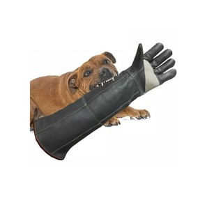 GĂNG TAY HUẤN LUYỆN CHÓ MÈO | GĂNG TAY PHÒNG CHÓ CẮN MÈO CÀO | Pets Store
