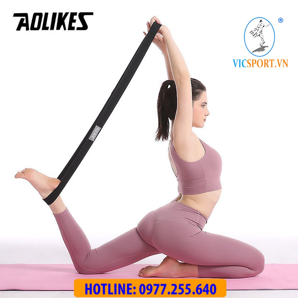 Dây kháng lực Aolikes 3606 (bộ 3 dây) - Tập Cơ Mông Đùi Chân( Chính Hãng) - Vicsport