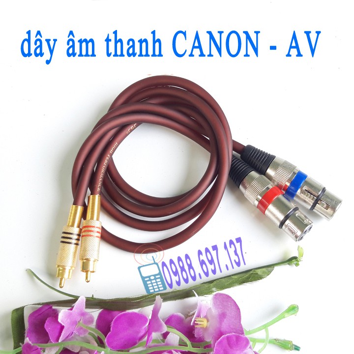 2 dây kết nối canon cái sang hoa sen AV loại 80cm