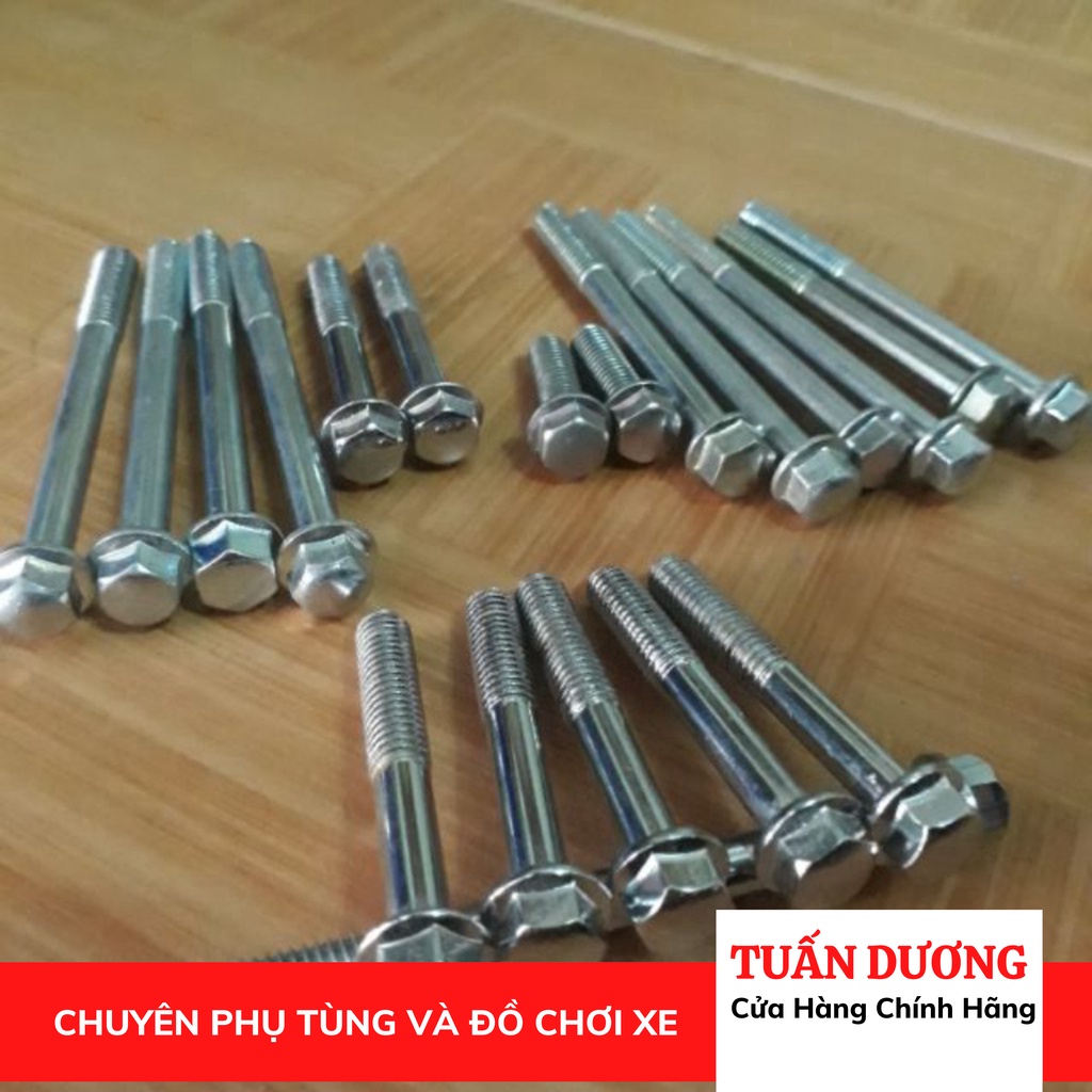 [ CHÍNH HÃNG ] Bộ Ốc Bắt Lốc Máy Xe Dream Wave Hàng Xịn Honda Lắp Được Cho Cả Dream Và Wave Việt Và Thái các đời
