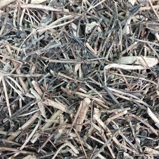 cây đuôi chuột khô 1kg