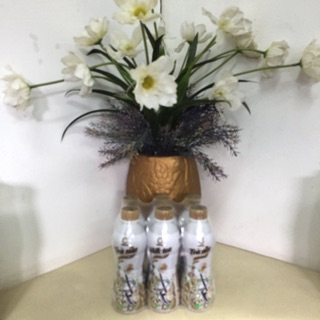 01 thùng 24 chai Trà sữa Macchiato 268ml
