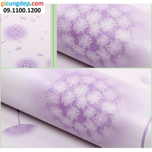 Giấy dán tường hoa bồ công anh tím