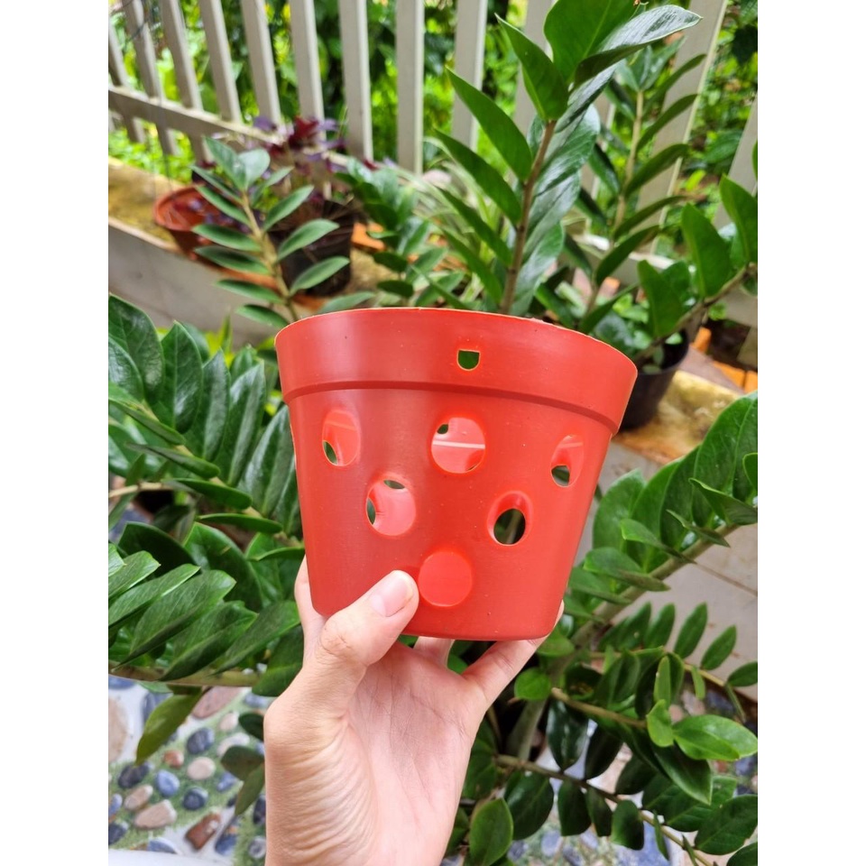 [Siêu Sale] Chậu Nhựa Giả Đất Trồng Hoa Lan Cây Kiễng Lá Rất Đẹp Hàng Loại 1 Dày Chắc Chắn Size F21