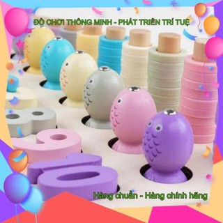 BỘ SỐ ĐẾM, THẢ CỌC, CÂU CÁ 3IN1 (HÀNG LOẠI ĐẸP-ẢNH THẬT)