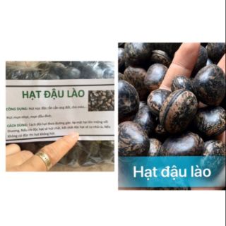 COMBO 10 HẠT ĐẬU LÀO ( HẠT HÚT ĐỘC )