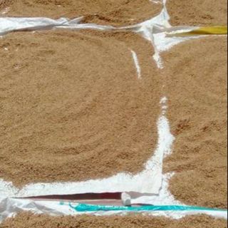 1kg vừng mè trắng đãi tay đặc sản Hải Hậu