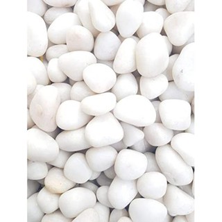 Đá sỏi to màu trắng bịch 500gr