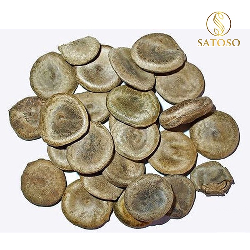 Hạt mã tiền khô thượng hạng giúp mạnh gân cốt, thông kinh lạc SATOSO 1kg SA60