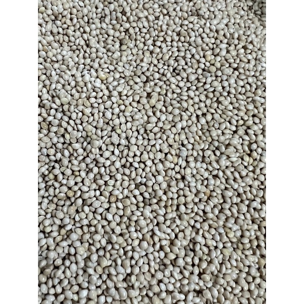 1Kg Hạt Kê Trắng Mỹ