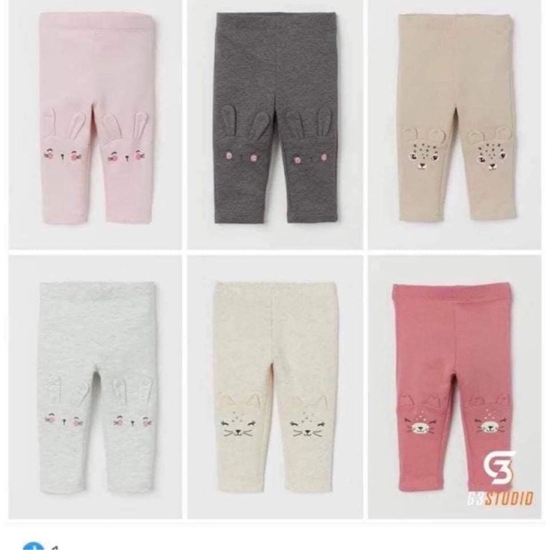 quần nỉ thỏ hm