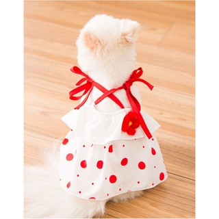 Váy  dây cho chó mèo - Lucky girl