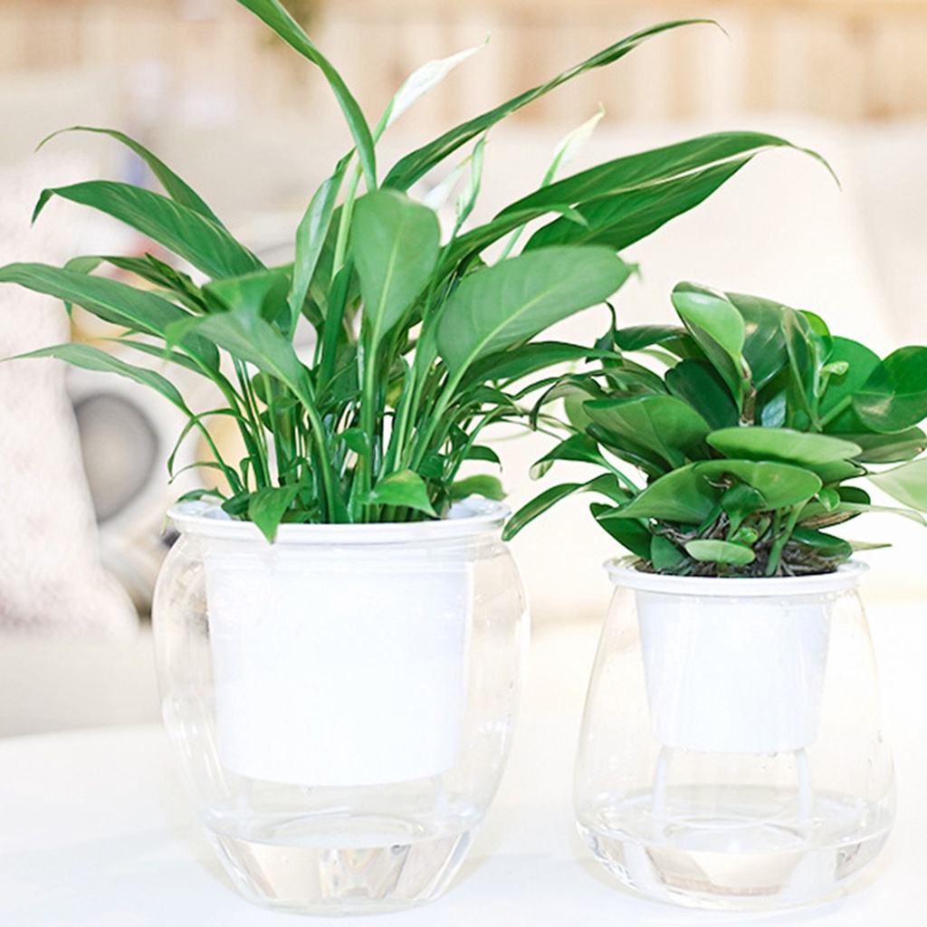 Chậu trồng cây bằng nhựa thiết kế tự tưới nước trong suốt sử dụng tại nhà