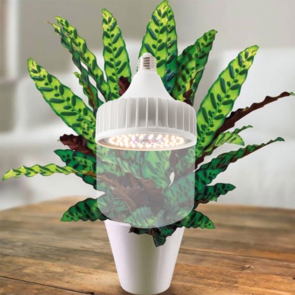 Đèn LED Trồng Cây và Quang Hợp Cho Cây Trong Nhà, Đủ Phổ Như Ánh Sáng Tự Nhiên, Chính Hãng Rạng Đông, Bảo Hành 2 Năm.