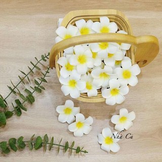 sỉ 100 bông  hoa đại cài tóc