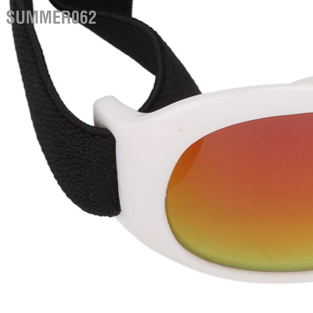 Kính mát chống gió bảo vệ mắt có dây điều chỉnh được cho thú cưng