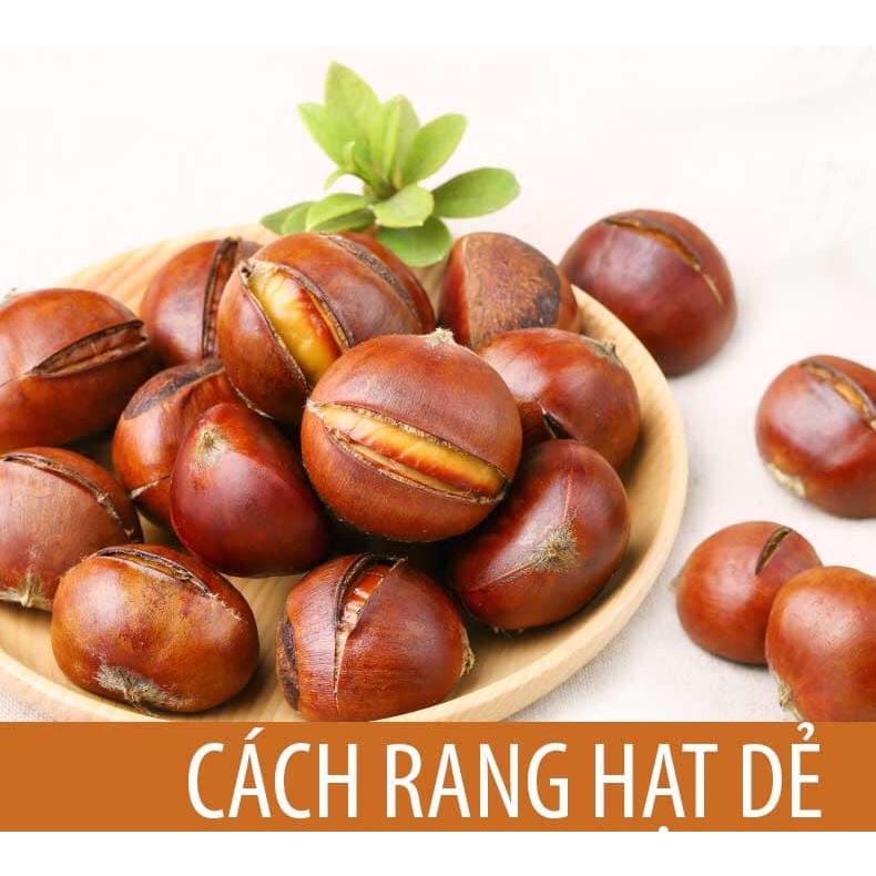 Hạt Dẻ Trùng Khánh (Cơm Vàng) Hạt Dẻ Sống Túi 1 Kg Gửi Từ Cao Bằng (Chưa Khứa)