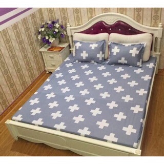 Bộ Drap cotton poly 