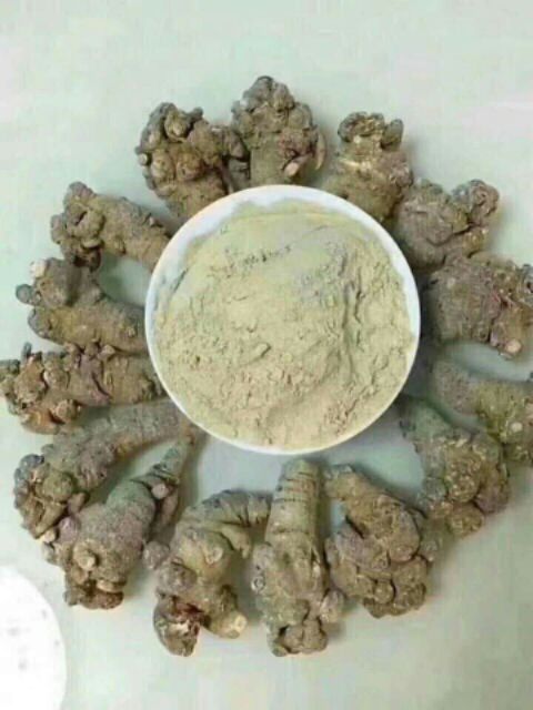 Của tam thất bắc 52,66,90 củ/1kg