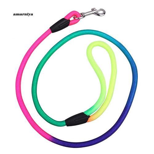 Dây dắt chó cưng bện sợi nylon màu sắc cầu vồng đáng yêu