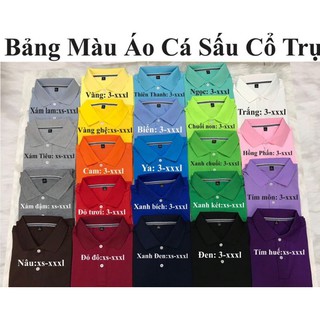 Áo thun cổ trụ