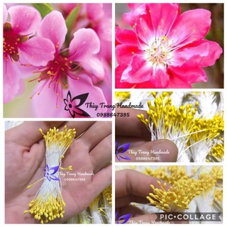 1 bó (khoảng 65 sợi) nhuỵ vàng hột nhỏ (dùng làm hoa đào)