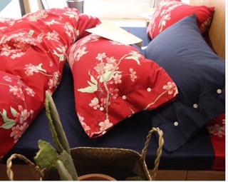 Chăn ga gối cotton lụa Ai Cập cao cấp