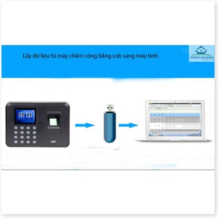 🇳 🇪 🇼 Máy chấm công vân tay FingerPrint A206 ®️