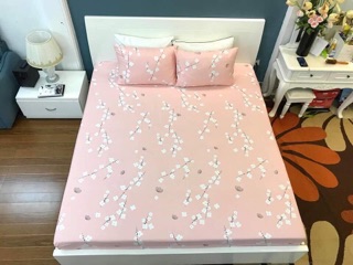 Bộ ga và đôi vỏ gối (Có bán rời)