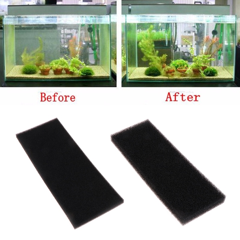 2 Miếng Mút Lọc Sinh Học Cho Bể Cá Mới