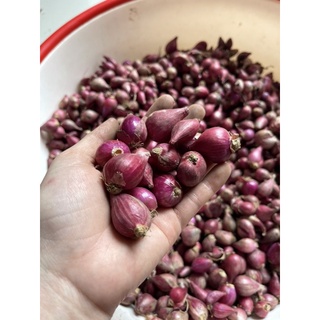 Hành tím, hành khô túi lưới củ to. Hành tím Phan Rang