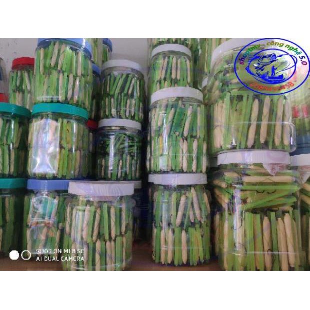 Bộ phao bắp câu cá rô, cá trê Bộ 2 Cái