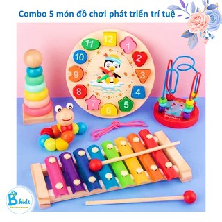 Combo 5 đồ chơi phát triển trí tuệ cho bé từ 2 đến 10 tuổi giá tốt