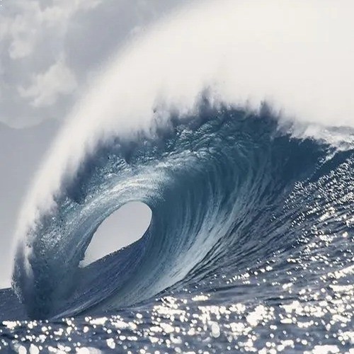 Mê đắm hoàn toàn