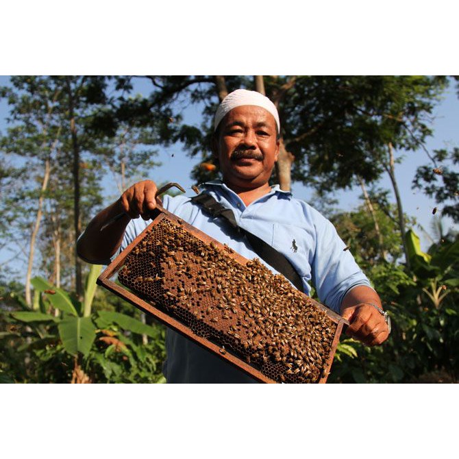 Mật ong Nguyên Chất Tây Nguyên - Chai 500ml | BigBuy360 - bigbuy360.vn