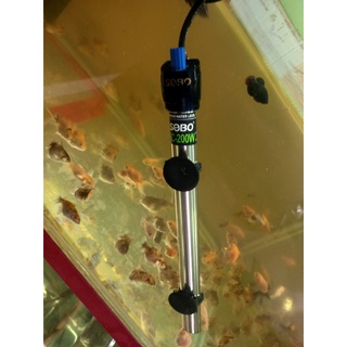 Cây sưởi hồ cá inox