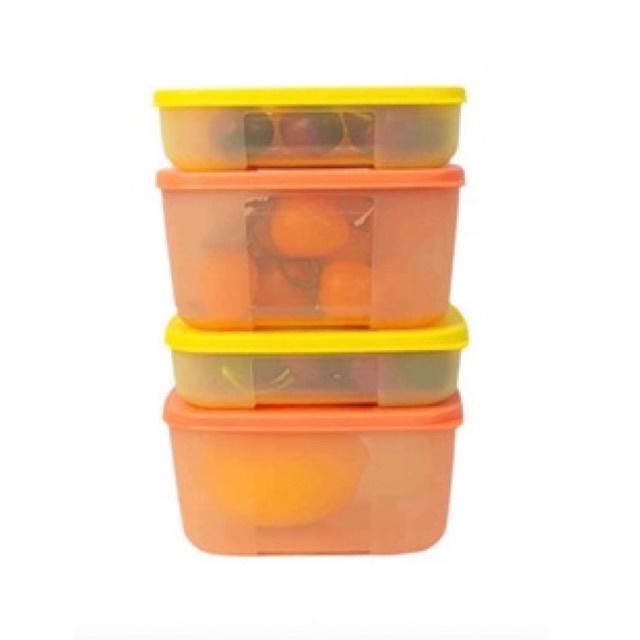 Set 4 Hộp Nhựa Ngăn Đông Tupperware Trữ Thực Phẩm Tươi Sống Thịt Cá, Rau Củ - Đựng Đồ Ăn Dặm