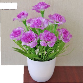Chậu hoa để bàn xinh xắn