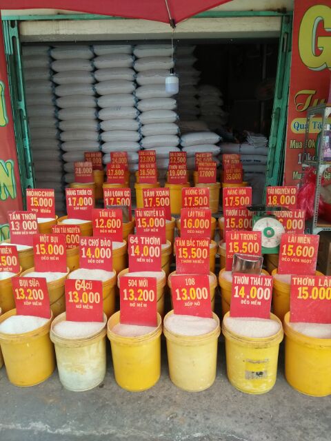 Nếp Cái Hoa Vàng ( Nếp Bắc) | BigBuy360 - bigbuy360.vn