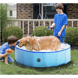 Hồ bơi cho thú cưng portable paw pool 80x20cm