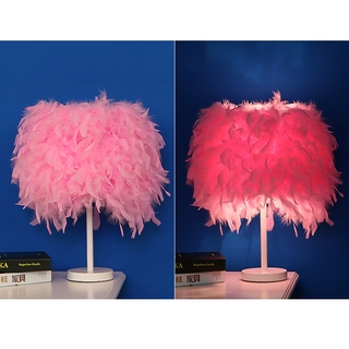 Table lamp / Night light with lovely feathers, 220V, ON / OFF