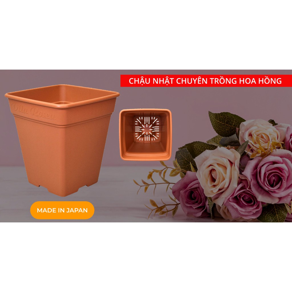 [Mã SKAMLTSM9 giảm 10% đơn 99K] CHẬU NHẬT CHUYÊN TRỒNG HOA HỒNG ROSE SQUARE MÀU NÂU- KOBETA GARDEN